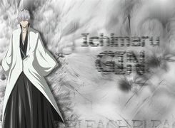 Ichimaru Gin, Były, Shinigami