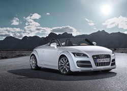 Audi TT, Roadster, Cabrio