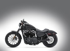 Harley Davidson Sportster Iron 883