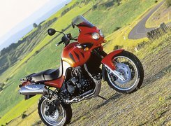 Triumph Tiger 955i