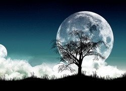 Księżyc, Drzewo, Noc, Logo, Apple