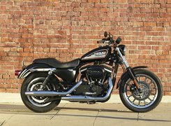 Harley Davidson Sportster XL883R, Bak, Paliwa