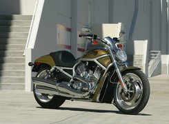 Oliwkowy, Harley Davidson V-Rod
