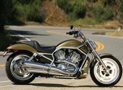 Harley Davidson V-Rod, Unikalne, Malowanie