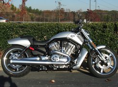 Srebrny, Motocykl, Harley Davidson V-Rod Muscle