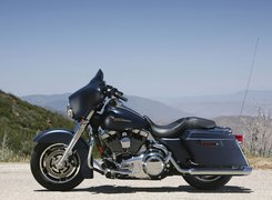 Harley-Davidson Touring Street Glide, Elementy, Chromowane