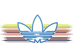 Adidas, Sznurówki, Tulipan