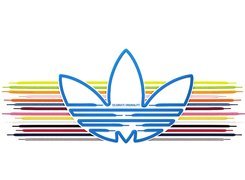 Adidas, Sznurówki, Tulipan