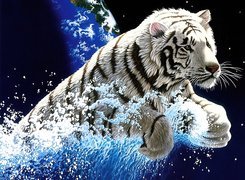 Biały, Tygrys, Grafika, Woda