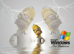 Windows, Homer, Simpson