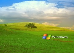 Windows Longhorn