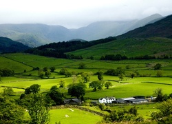 Wioska, Grasmere, Anglia, Wielka, Brytania