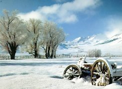 Zima, Drzewa, Wóz