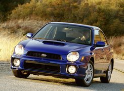 Subaru Impreza, Niebieskie