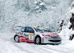 Rajdowy, Peugeot 206