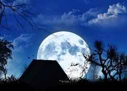 Księżyc, Noc, Chata