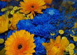 Bukiet, Niebiesko, Żółtych, Kwiatów