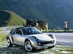 Smart Roadster