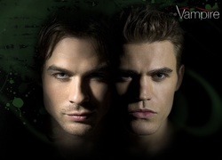 Bracia, Pamiętniki wampirów, The Vampire Diaries, Ian Somerhalder, Paul Wesley