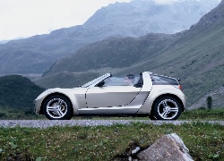 Srebrny, Smart Roadster