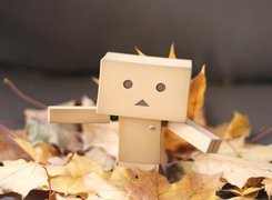 Danbo, Liście