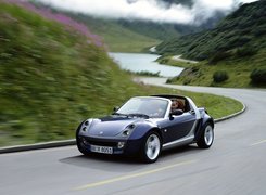 Smart Roadster, Ulica