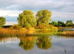 Wiosna, Trzciny, Jezioro