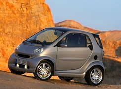 Szary, Smart Fortwo