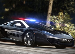 Need for Speed Hot Pursuit, Policja