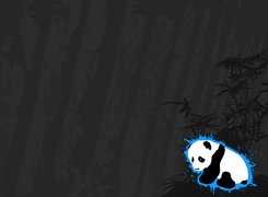 Panda, Szare, Tło