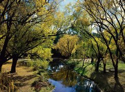 Park, Morses, Creek, Wiosna