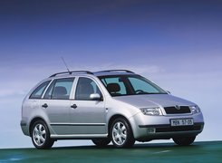 Srebrna, Skoda Fabia, Kombi