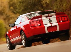 Ford Mustang, Shelby