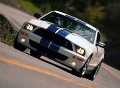 Shelby, Ford Mustang