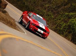 Czerwony, Shelby, Ford Mustang, GT 500