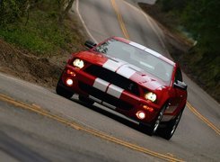 Shelby, Ford Mustang