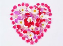 Kwiatki, Serce, Walentynki