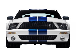 Shelby, Ford Mustang