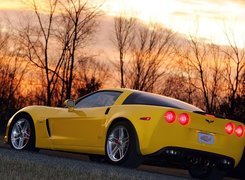 Chevrolet Corvette Z06, Lampy, Tył