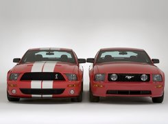 Ford Mustang i GT500