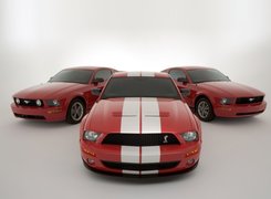 Shelby, Ford Mustang