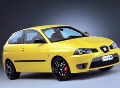 Seat Ibiza, Cupra R