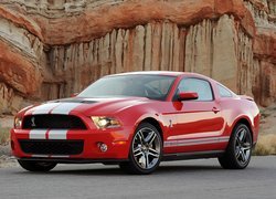 Ford Mustang GT500, Shelby