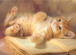 Kot, Leżący, Na, Książce