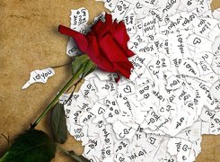 Czerwona, Róża, Karteczki, I, Love, You
