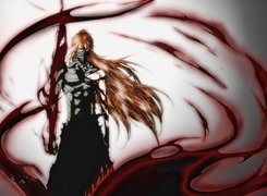 Kurosaki, Przemiana, Bleach