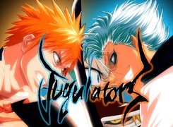 Kurosaki, Grimmjow, Napis