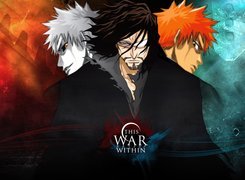 Hichigo, Ichigo, Zangetsu, Wojna