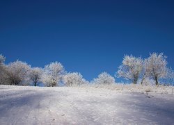 Zima, Pokrywa, Śnieżna