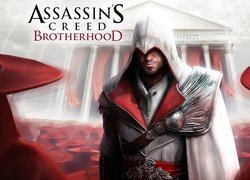 Assassins Creed, Brotherhood